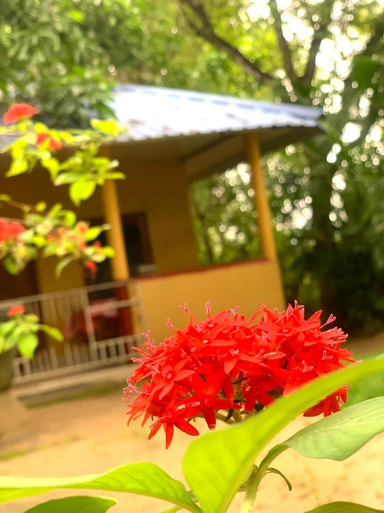 Yapahuwa Relax Stay Exterior foto